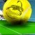 Scorpion Tennis Academy