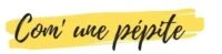 Com' une pépite, Coaching en Communication