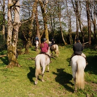 Dromquinna STABLES