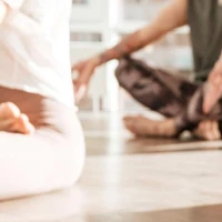 Ananda Rishi Foundation