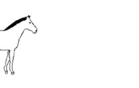Écuries De La Chênaie