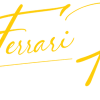 Thierry Ferrari Performance