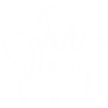 Vedviya Yoga Shala