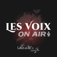 LA VOIX EN SCÈNE - Formation Coaching Vocal, Scène, Studio
