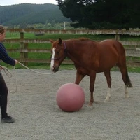 The Giggling Pony Equestrian Centre