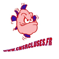 Cnsr Cluses