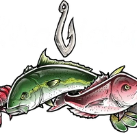 Provider Fishing Charters, Adventures and Retreats, Tairua, Coromandel, New Zealand