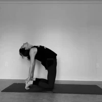 Trailside Yoga
