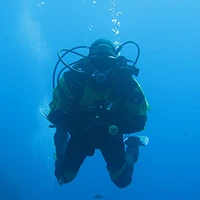 Club de Plongée et Nage en Eaux Vives Les Palmes Aquadémiques