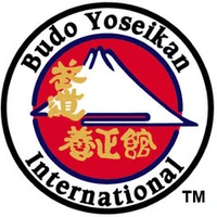 Aikido Yoseikan Budo