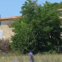 Ma maison de loin