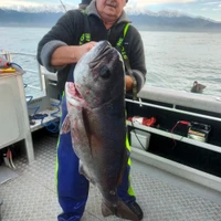Kaikoura Fishing