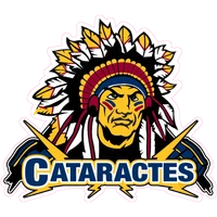 Club de Hockey Les Voltigeurs