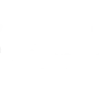 Rotherham United Football Club