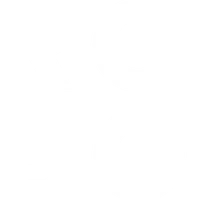 Rock Bodies