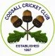 Wellington Cricket Club