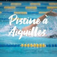 Piscine à Aiguilles