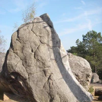 Pied Main Escalade