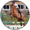 Equestrian Center Du Val De Sienne