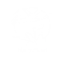 Harry ALBERT Company