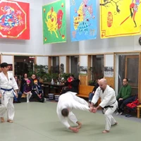 Aikido Jiseikan Ottawa