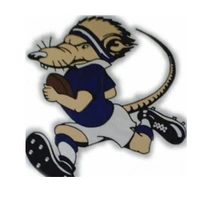 Manning River Ratz Rugby Union Football Club