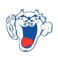 Wollongong Touch Association