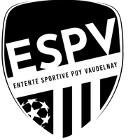 Entente Sportive Puy Vaudelnay - ESPV football