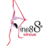 inesS - aerial circus and pilates