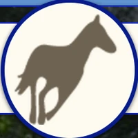 Channon Dunoon Pony Club