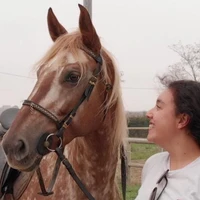 Ecuries De Majouraut