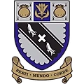 Lancing ROVERS CRICKET CLUB