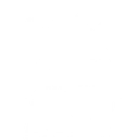 Boss Thai Boxing & Fitness