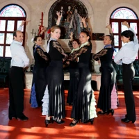 Academy Flamenco D'arles