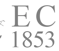 Effingham Cricket Club