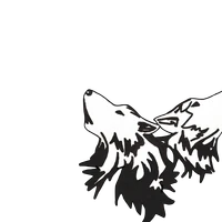 Two Wolf CrossFit
