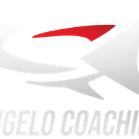 Trainer Bordeaux -