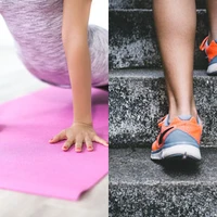 The Fitness Studio
