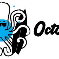 Octopus Surf School