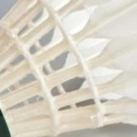 Mountsbay Badminton Club