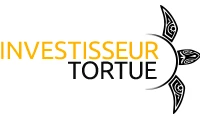 Cabinet Investisseur Tortue