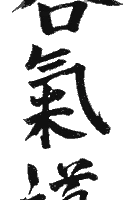 Aikido Club De Manom