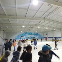 Warrina Ice Skating Rink