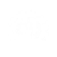 Perfect Pose Yoga