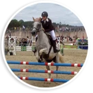 CENTRE EQUESTRE ET PONEY CLUB METAIRIE DU ROC