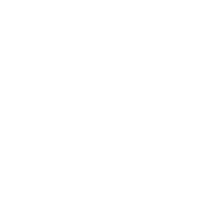 YAZH ACADEMY OF MUSIC & FINE ARTS