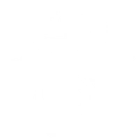 Moby Nick Fishing Charters