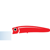 Fish N Dips Charters Ltd