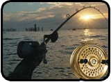 Campbell River Fishing Guide