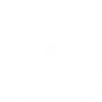 Sitnarong Muay Thai South